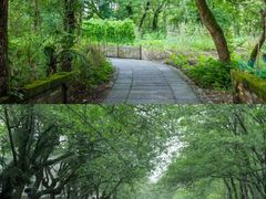 -西溪南古村落