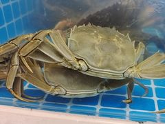 -七欣天香辣蟹火锅(南通任港路大润发店)