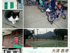 -大澳