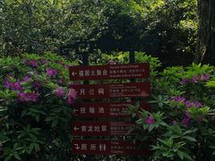 -杭州黄龙洞