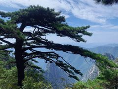 -黄山风景区