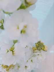 -倩极·精研痘敏肌管理