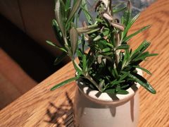 -La Strada(安福路店)