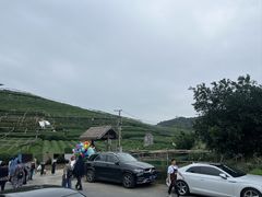 -听风阁农家私房菜茶楼(龙坞店)