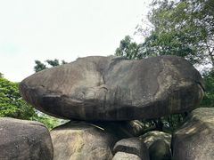 -火炉山森林公园