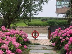 -上海滨江森林公园