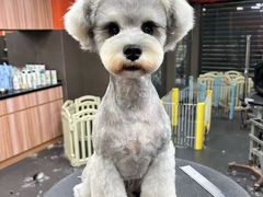 -宠宠熊宠物美容(星湖街店)