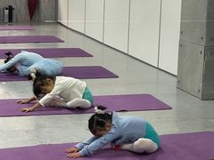 -舞蕾舞蹈(特长生校区)