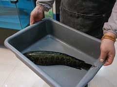 -香满锅老北京羊蝎子火锅·家常菜(新街口店)