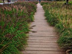 -汉长安城未央宫国家考古遗址公园