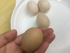蒸初生蛋-电白食府(园岭三街店)