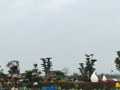 -荷兰花海