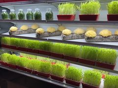-番食园鲜食火锅(高新店)