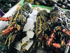 -金巴兰鱼市场
