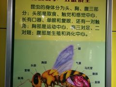 -上海昆虫博物馆