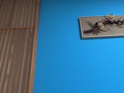 -姿馨妈咪催乳通乳·产后修护·孕妇按摩(空港店)