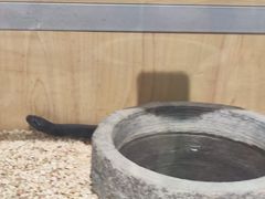 -龙湖重庆时代天街