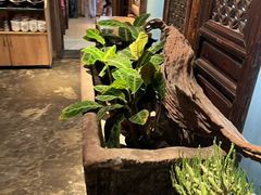 -慢丽江·云南野生菌土鸡锅(西山店)