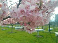 -公益图书馆(江南大学店)