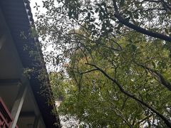 -天一阁博物院