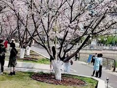 -西北湖绿化广场