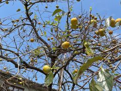 -东钱湖旅游度假区