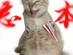 -深圳野生动物园