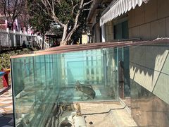 -昆明动物园