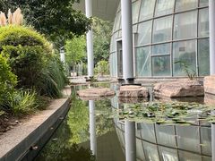 -郑州植物园