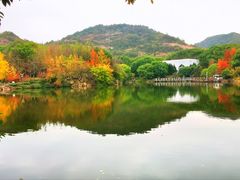 -九龙潭景区