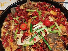 -老板恋上鱼(恒隆广场店)