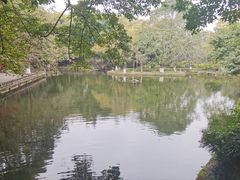-望江楼公园