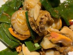 梅豆炝拌扇贝肉-前海沿·青岛菜(李沧万达店)
