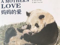 -熊猫厨房