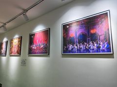 -中央芭蕾舞团·中芭艺蕾(酒仙桥明星校区)