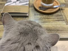 -小时光咖啡馆(北锣鼓巷店)