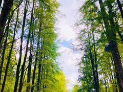 -青山湖景区
