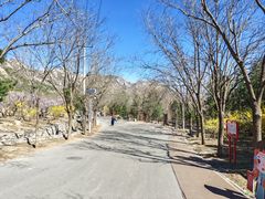 -北京凤凰岭