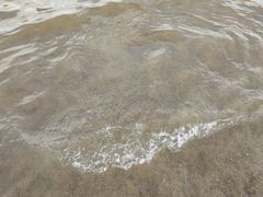 -碧海金沙
