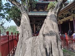 -晋祠公园