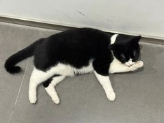 -原田新料理(1912店)