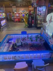 -卡通尼·Safari非洲探索乐园·生日会(金桥国际商业广场店)