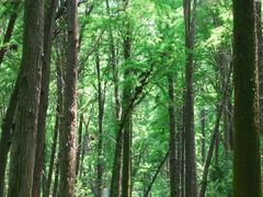 -同里国家湿地公园