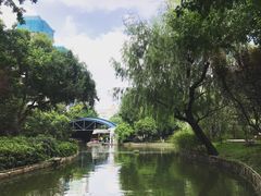 -和平公园