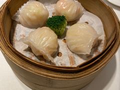-悦景酒家(罗湖店)