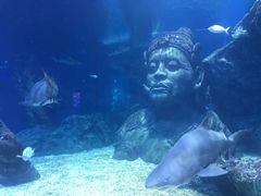-暹罗海洋世界