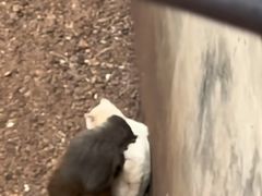 -昆明动物园