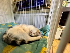 -Xian鲜趣人生(青湖印象名邸店)