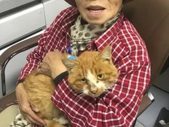 -达爱动物医院·犬猫分区·CT·复杂眼科(远洋山水分院)