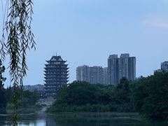 -眉山湿地公园(东坡区)